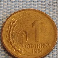 Монета 1 стотинка 1951г. България рядка за КОЛЕКЦИЯ ДЕКОРАЦИЯ 29374, снимка 1 - Нумизматика и бонистика - 44430950