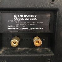 Pioneer Model CS-E830, снимка 15 - Тонколони - 32060629