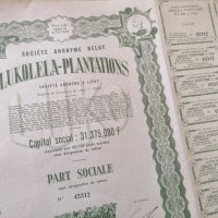 Акция от Белгия | Lukolela - Plantations | 1944г., снимка 1 - Нумизматика и бонистика - 31276043