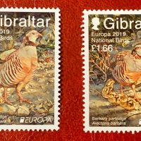 624а. Гибралтар 2019 ~ “ Фауна. Europa stamps: Местни птици.”, **, MNH , снимка 1 - Филателия - 44173797