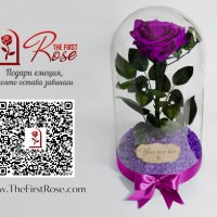 Лилава Вечна Роза в Стъкленица / Оригинален Подарък за Жена / Лилава Естествена Вечна Роза, снимка 3 - Ръчно изработени сувенири - 37067134