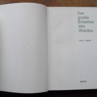 Der Grosse Bildatlas des Waldes /на немски език/, J.Jenik., снимка 2 - Енциклопедии, справочници - 39564724
