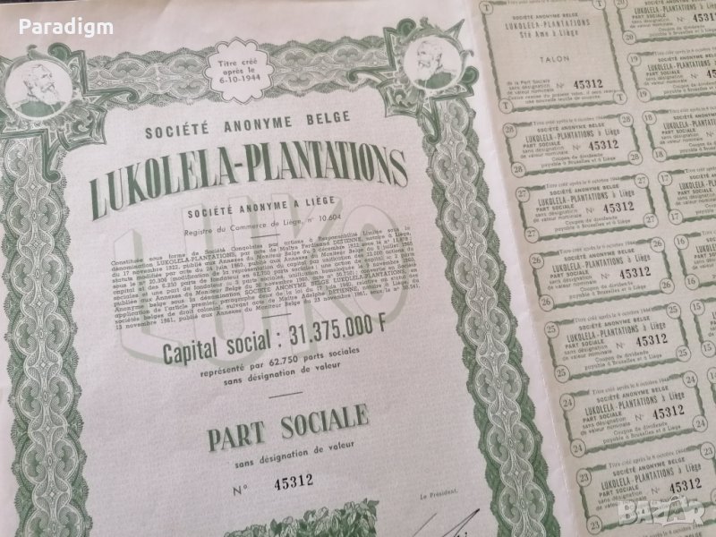 Акция от Белгия | Lukolela - Plantations | 1944г., снимка 1