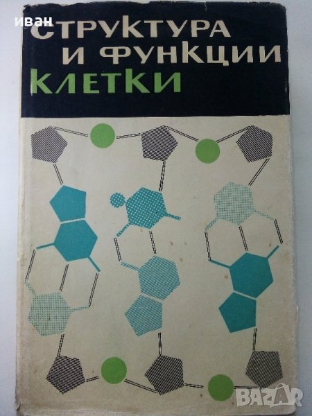 Структура и функция клетки - Сборник - 1964г., снимка 1