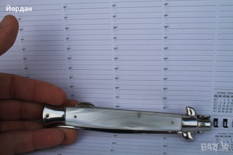 Европейска ножка със седефени чирени , снимка 1