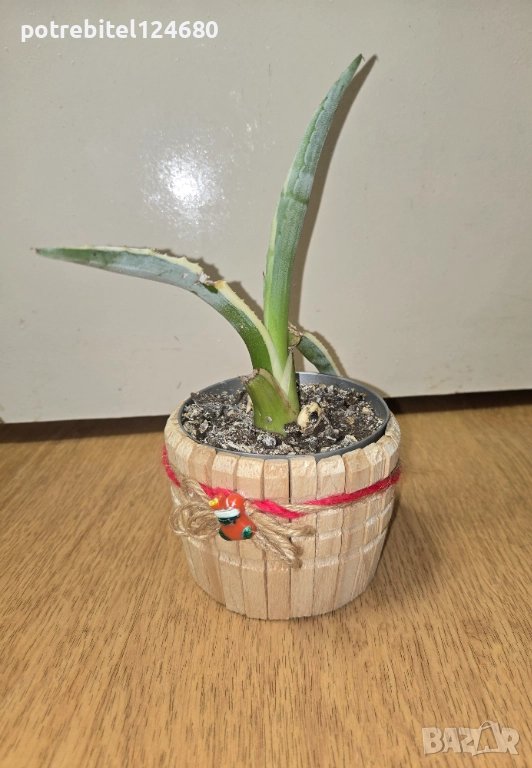 Коледна кашпа, снимка 1