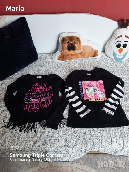 Блузки с дълъг ръкав , снимка 1