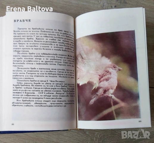 🍃💜   Албум за растения и животни  299стр. 1976г, снимка 3 - Други - 53912262