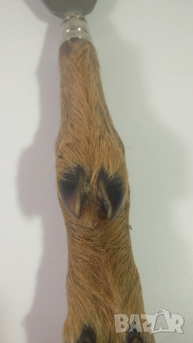 Отварачка от крак на елен, снимка 5 - Антикварни и старинни предмети - 52140287