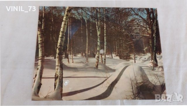 Плоча картичка-Жената На Моя Приятел ВТВ 10172