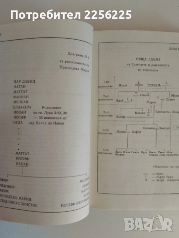 Света Богородица, снимка 3 - Специализирана литература - 51480589