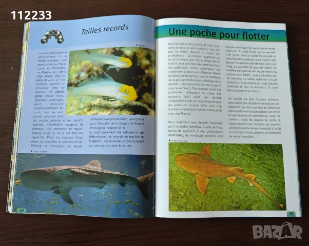 Le Regne Animal-енциклопедия на френски, снимка 6 - Енциклопедии, справочници - 47479705