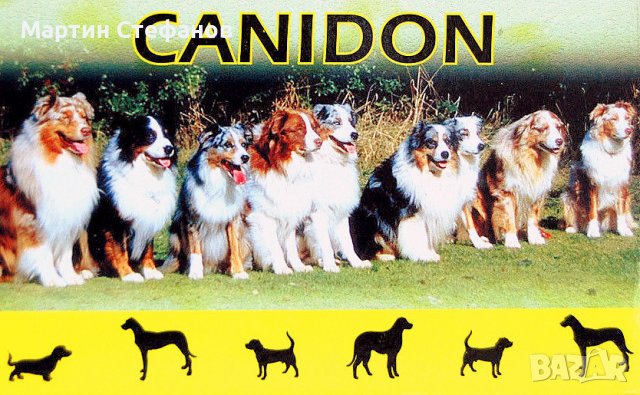 Канидон - за обезпаразитяване на кучета - 50 таблетки, снимка 1 - За кучета - 39365125