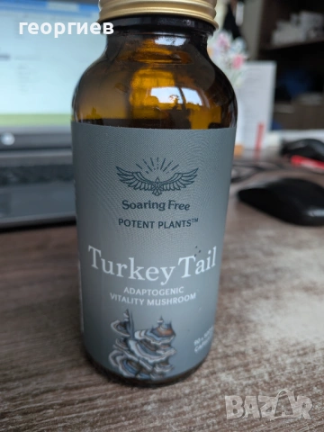 Coriolus Versicolor - съпътстваща терапия за онкоболни