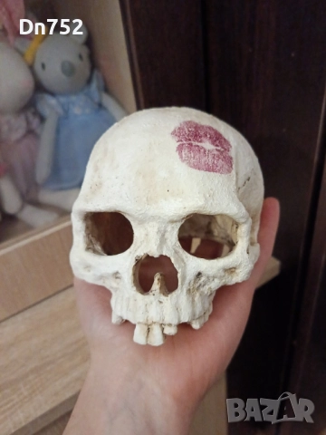 декоративен череп, снимка 5 - Статуетки - 52425768