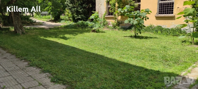 Косене на тревни площи и храсти, снимка 3 - Други услуги - 52864157