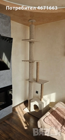 Котека катерушка, снимка 2 - За котки - 52686637