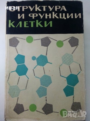 Структура и функция клетки - Сборник - 1964г., снимка 1 - Специализирана литература - 39010828