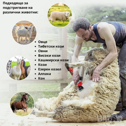 Електрическа машинка за стригане на овце и кози PAT JULIMG – 1000W, 6 скорости, снимка 5 - Друга електроника - 51962202