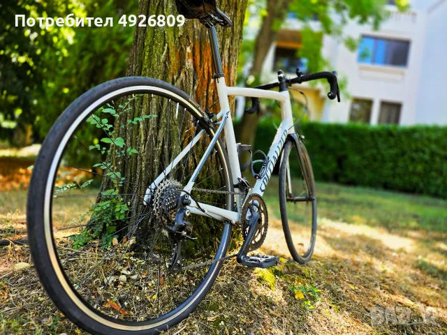 Specialized Allez, снимка 2 - Велосипеди - 55770548