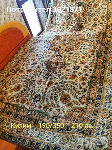 Стари килими, пътеки и картини , снимка 3 - Антикварни и старинни предмети - 53245870