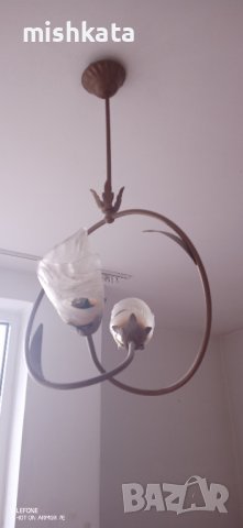 Полилей, снимка 1