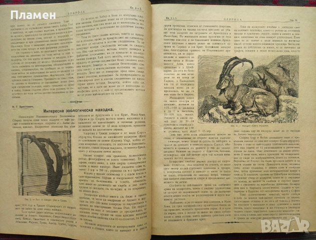 Природа. Кн. 1-9 / 1923, Пътешественикъ. Бр. 1-12 / 1897, Илюстрация Светлина: Юбилейна книга / 1918, снимка 2 - Антикварни и старинни предмети - 53353555