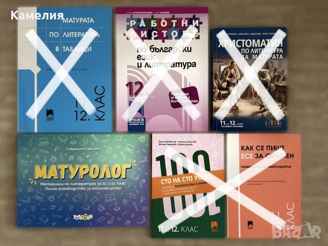 Помагала по български език и литература за 11. и 12. клас - подготовка за ДЗИ (матура)