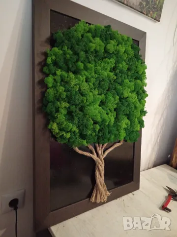 Картина от Скандинавски мъх , снимка 6 - Декорация за дома - 48915651