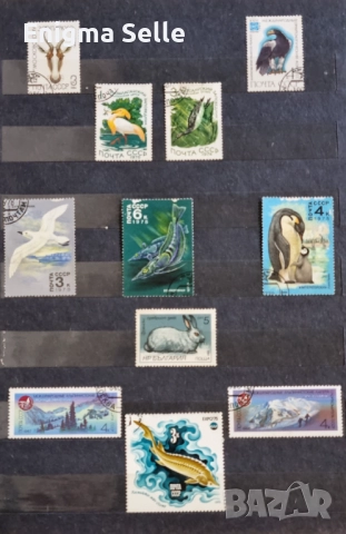 Колекция от стари пощенски марки , снимка 18 - Филателия - 52778231