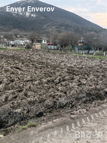 1000 кв., снимка 2 - Парцели - 53898897