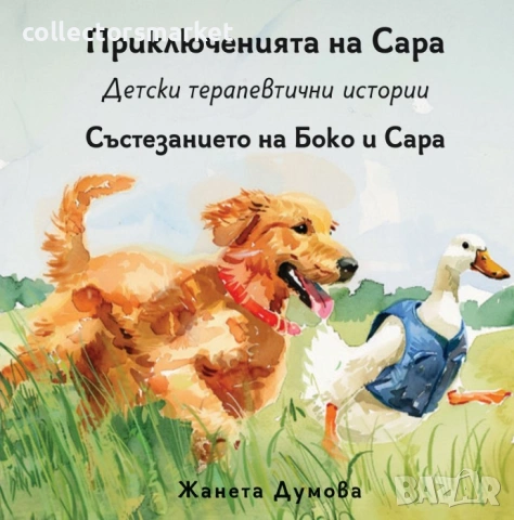 Състезанието на Боко и Сара