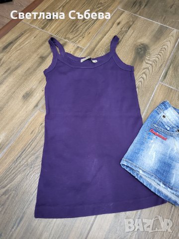 Лилав потник , снимка 1