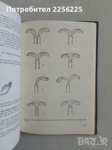 Гинекология, снимка 8 - Специализирана литература - 47490359