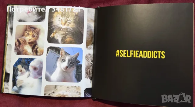 Cat Selfies албум     , снимка 8 - Изкуство, музика, кино и фотография - 55817036