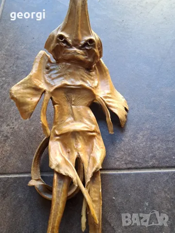 препарирана екзотична риба  7/4, снимка 2 - Декорация за дома - 49854710