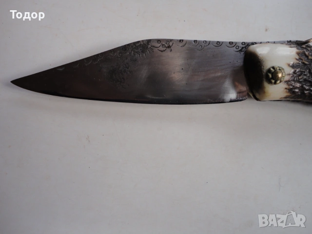 Страхотна голяма сойка нож 9, снимка 5 - Ножове - 54086202