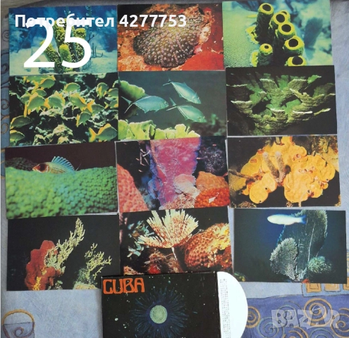 Колекция от 416 стари картички, снимка 9 - Антикварни и старинни предмети - 51199354