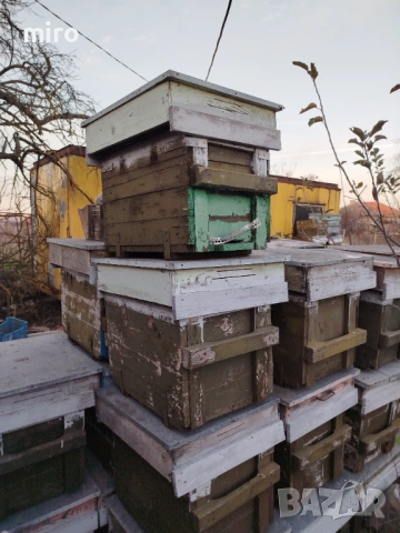 Кошери, снимка 5 - За пчели - 53924928