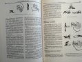 Энциклопедия массажа Массаж от А до Я - В. И. Дубровский 1998 г., снимка 9