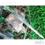 Кинжал - репродукция от втората световна война,с елементи и символи свързани с 3-ти Райх - хитлерист, снимка 3
