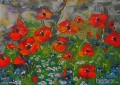 Макове, poppy, poppies,  Мима / Art by MiMa, картина, oil painting, снимка 1
