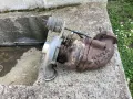 Turbo za opel vektra, снимка 2
