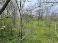 Парцел 907 кв.м. в Казанлък Вилна Зона "Стари Лозя" зад Художествената Гимназия , снимка 3
