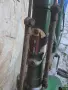 Ретро Велосипед ROBUSTA , снимка 4