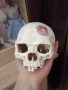 декоративен череп, снимка 5