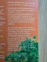 Турски чай Matcha манго, снимка 3