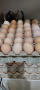 Домашни яйца , снимка 1 - Домашни продукти - 44572562