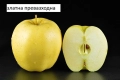   Ябълкa –  Фиданки подбрани сортове за богата и вкусна реколта, снимка 3