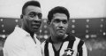 футболна тениска Botafogo Garrincha, снимка 4